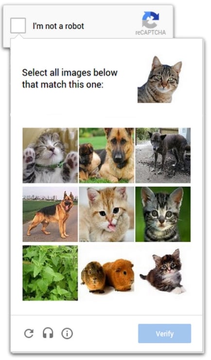 "Prove your humanity" by Nathan Ahearne (CatholicMom.com)